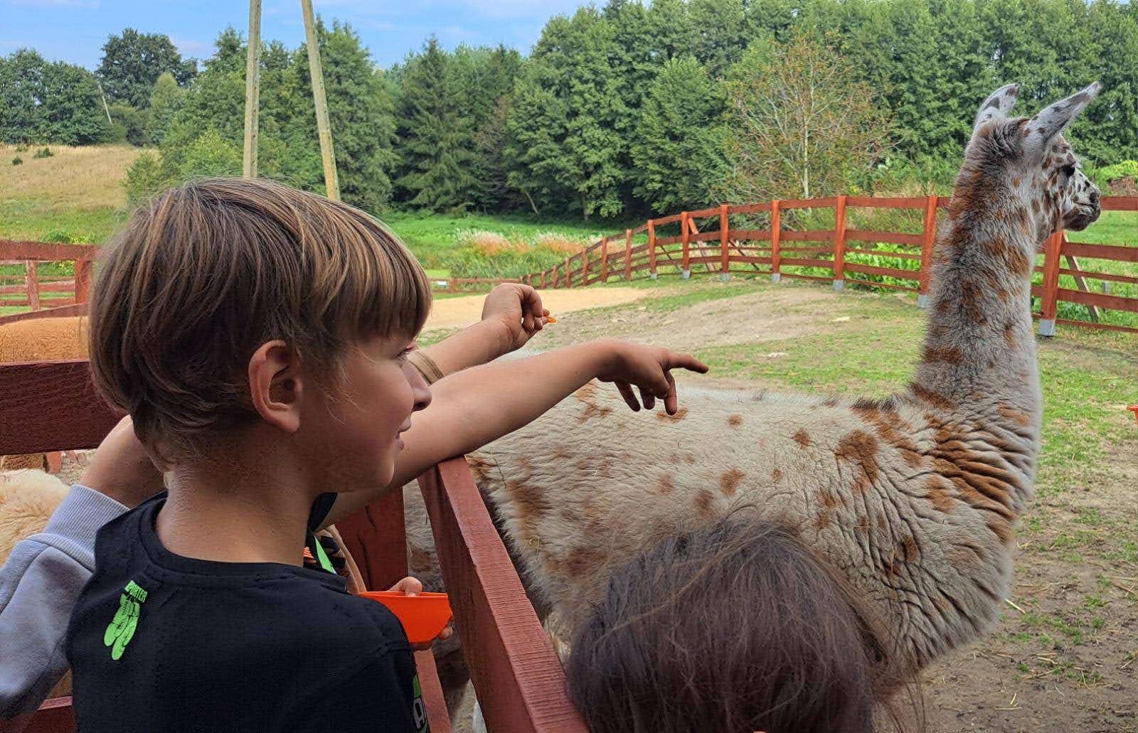 image 2024 09 26T225713087